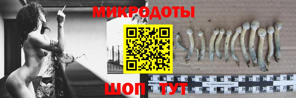 Псилоцибиновые грибы MAGIC MUSHROOMS Бугуруслан